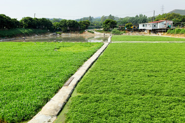 Similar image 6083459