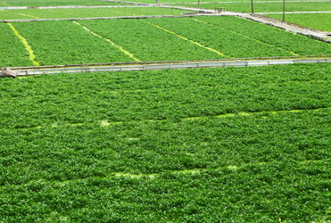 Similar image 6083464