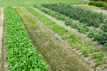 Similar image 6083467