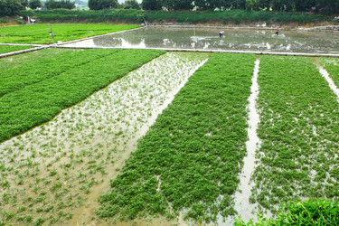 Similar image 6083469