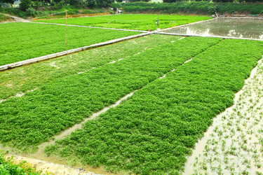 Similar image 6083473