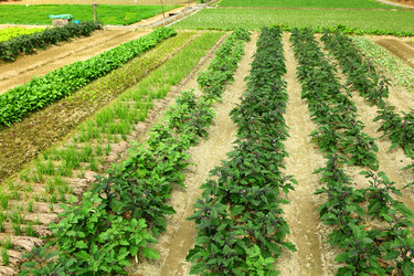 Similar image 6083479