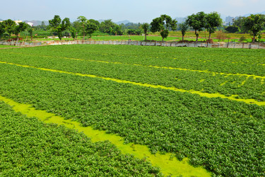 Similar image 6083480