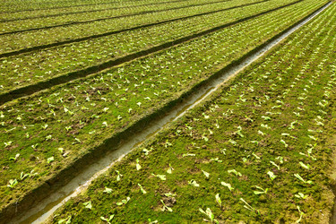 Similar image 6083508