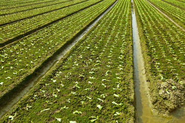 Similar image 6083514