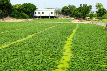 Similar image 6083533