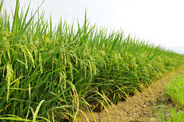 Similar image 6083534