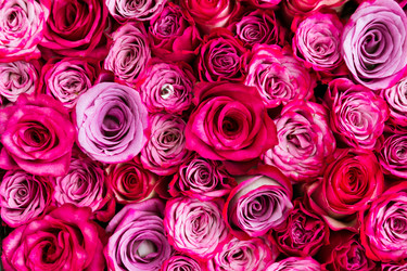 Similar image 6083654