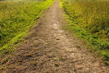 Similar image 6083663