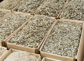 Similar image 6083743