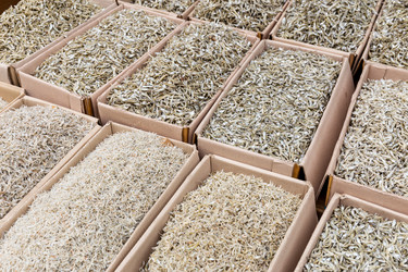 Similar image 6083744