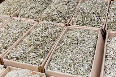 Similar image 6083747