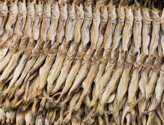 Similar image 6083776