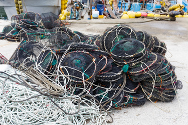 Similar image 6083814