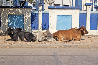 Similar image 6083843