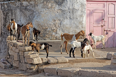 Similar image 6083844