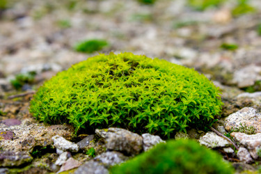 Similar image 6083912