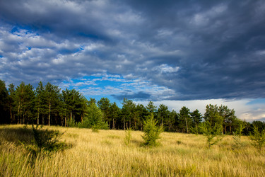 Similar image 6083913