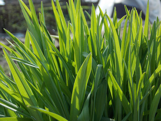 Similar image 6083916