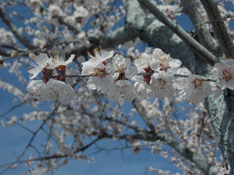 Similar image 6083917