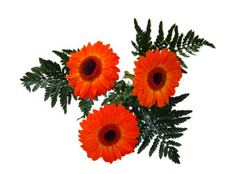 Similar image 6083920