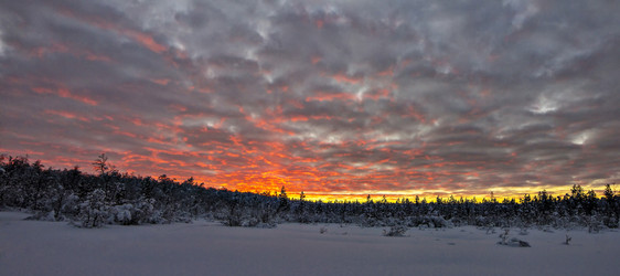 Similar image 6083994