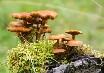 Similar image 6084056