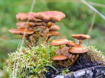 Similar image 6084061