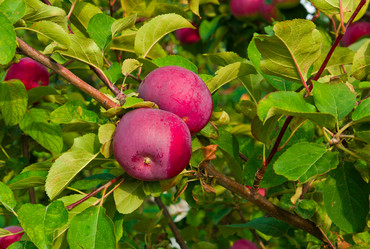 Similar image 6084126