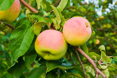 Similar image 6084129