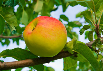 Similar image 6084131