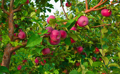 Similar image 6084133