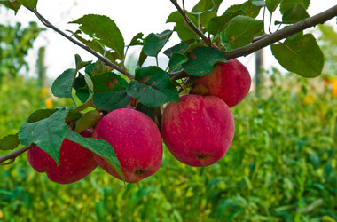 Similar image 6084134