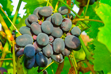 Similar image 6084146