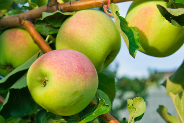 Similar image 6084147