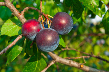 Similar image 6084148