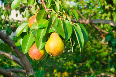 Similar image 6084149