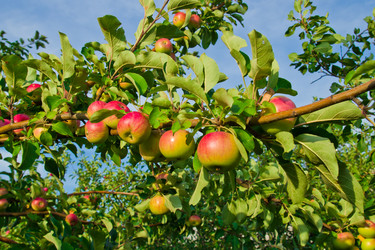 Similar image 6084150