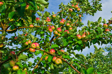 Similar image 6084151