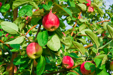 Similar image 6084152