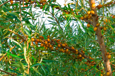 Similar image 6084153