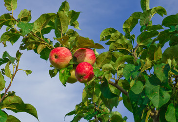 Similar image 6084154