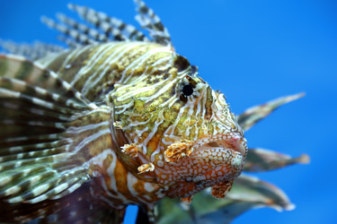 Similar image 6084195