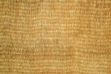 Similar image 6084197