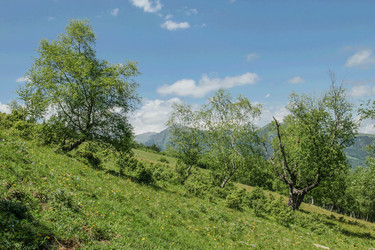 Similar image 6084245