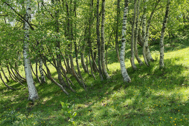 Similar image 6084246