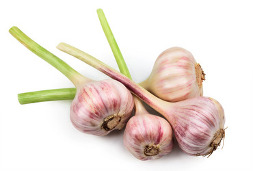 Similar image 6084318