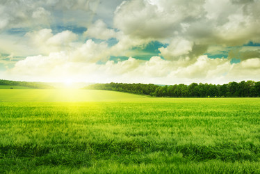 Similar image 6084327