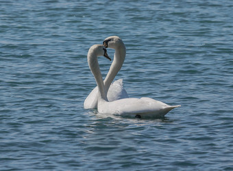 Similar image 6084330