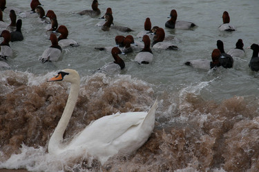 Similar image 6084331